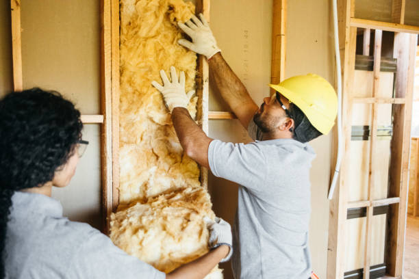 Eco-Friendly or Green Insulation Solutions in Lincoln Heights, OH